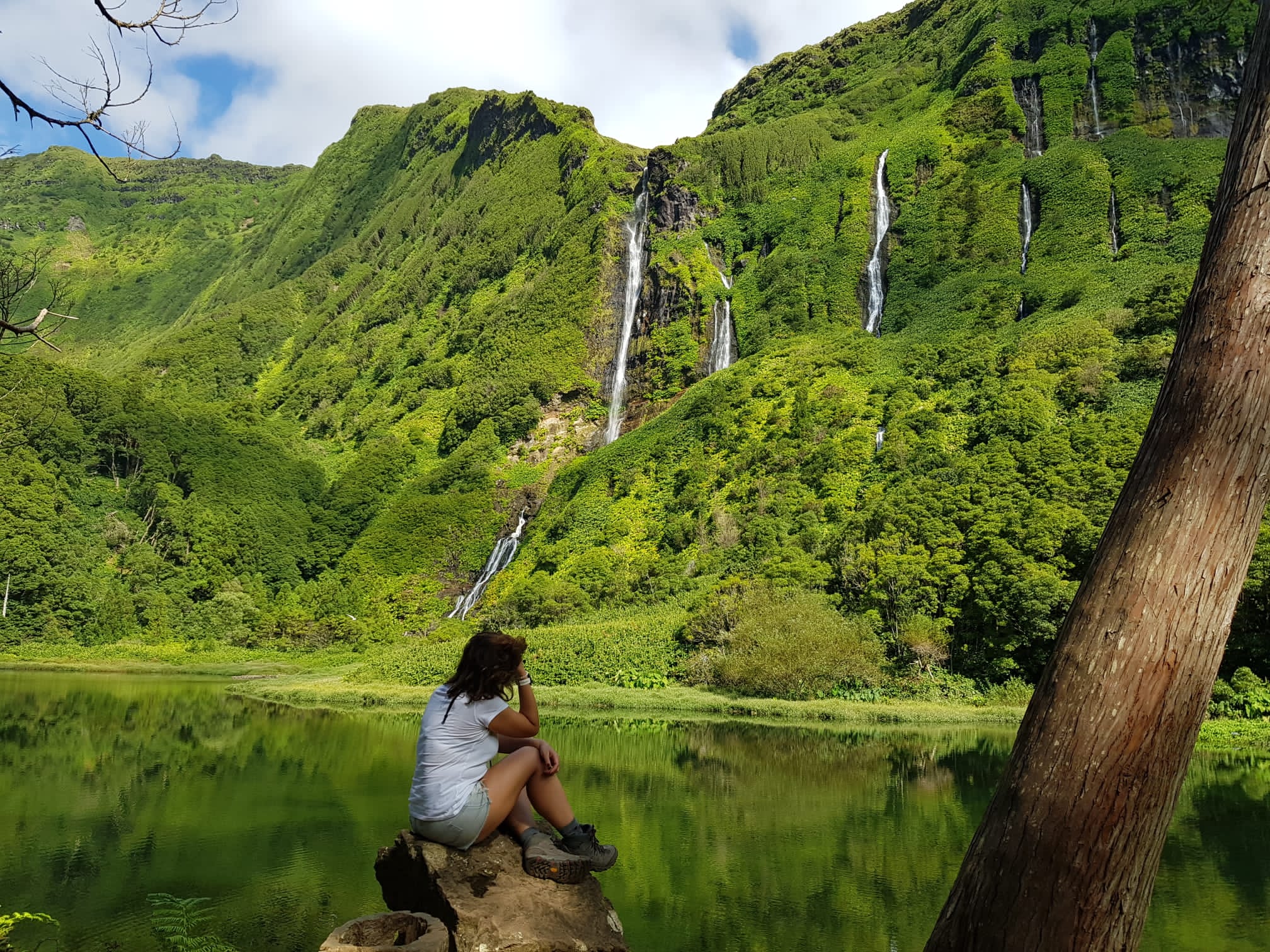 Nature-Rich Wellness Environments